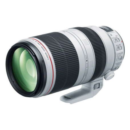 CANON LENS EF 100-400MM F/4.5-5.6L USM | Blessed Dan