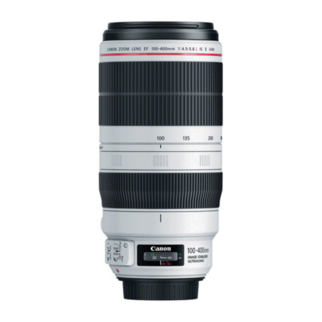 CANON LENS EF 100-400MM F/4.5-5.6L USM | Blessed Dan