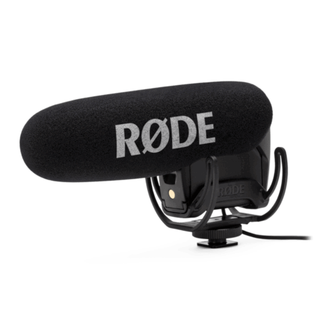 RODE VIDEO MIC PRO | Blessed Dan Camera